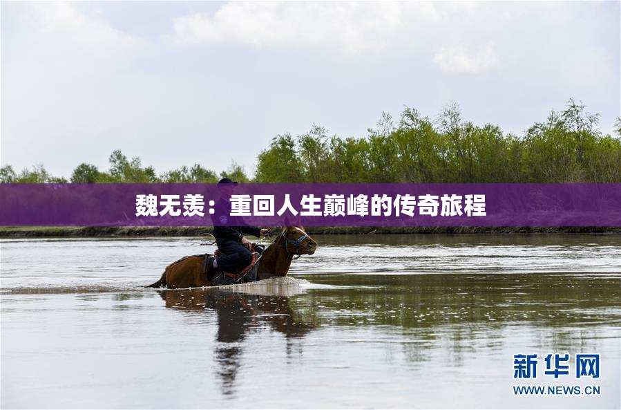 魏无羡：重回人生巅峰的传奇旅程