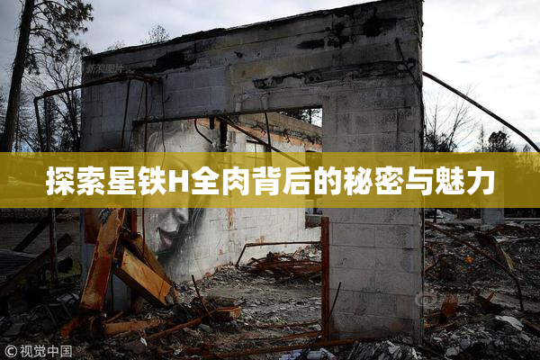 探索星铁H全肉背后的秘密与魅力