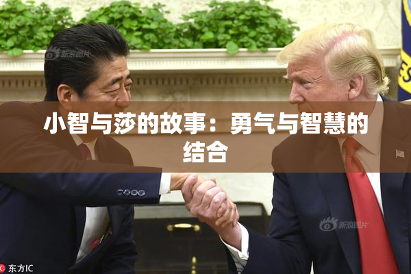 小智与莎的故事：勇气与智慧的结合
