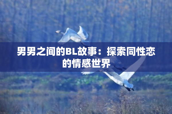 男男之间的BL故事：探索同性恋的情感世界