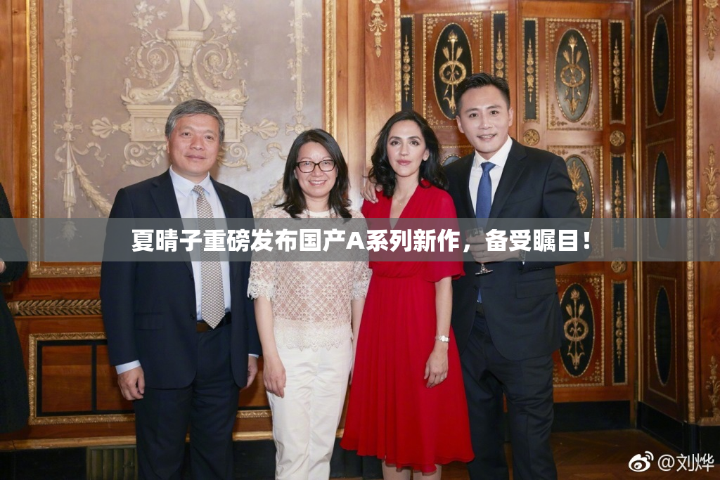 夏晴子重磅发布国产A系列新作，备受瞩目！