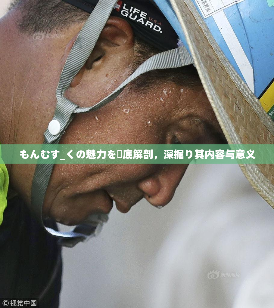 もんむす_くの魅力を徹底解剖，深掘り其内容与意义