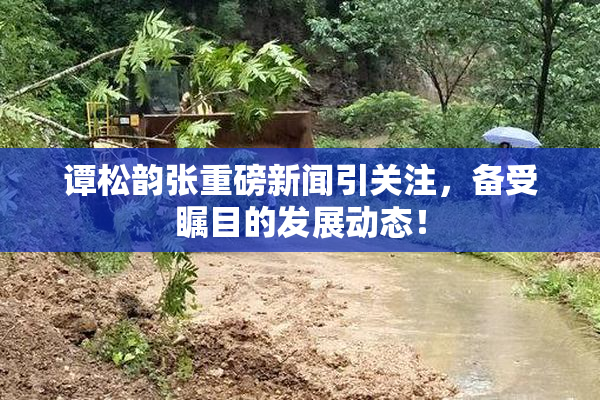 谭松韵张重磅新闻引关注，备受瞩目的发展动态！