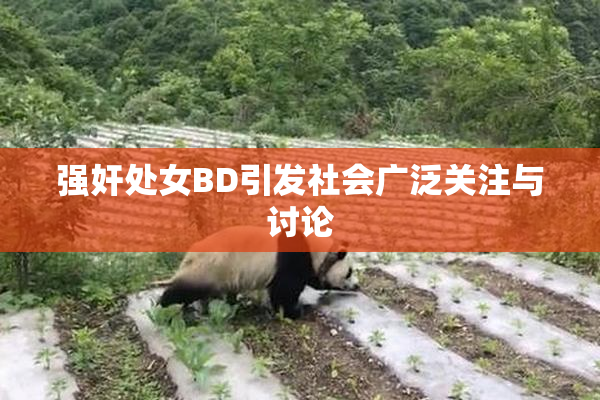 强奸处女BD引发社会广泛关注与讨论