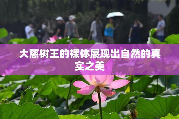 大慈树王的裸体展现出自然的真实之美