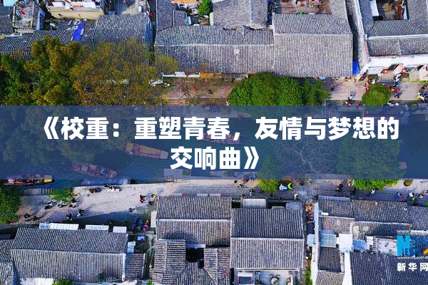 《校重：重塑青春，友情与梦想的交响曲》