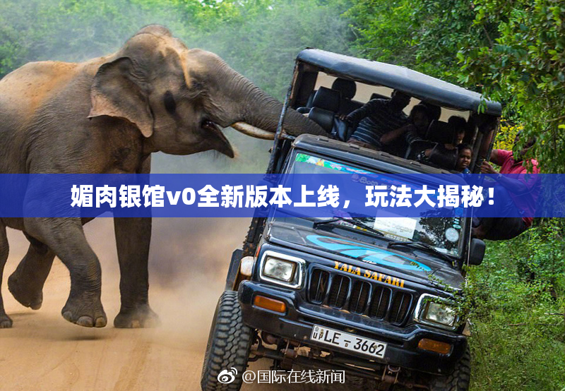 媚肉银馆v0全新版本上线，玩法大揭秘！