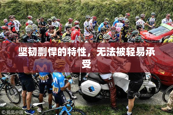 坚韧剽悍的特性，无法被轻易承受