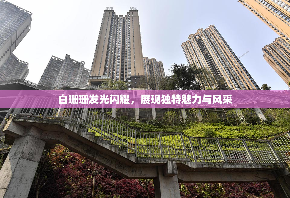 白珊珊发光闪耀，展现独特魅力与风采
