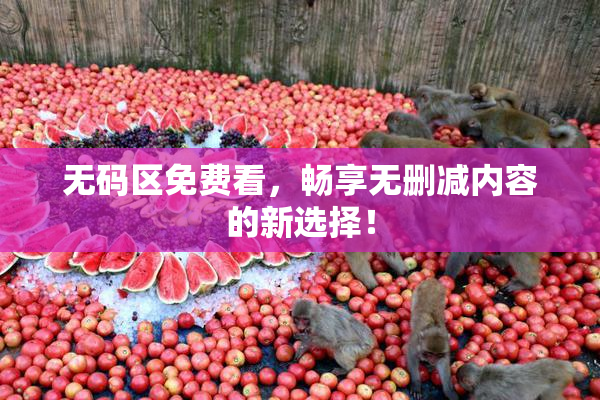 无码区免费看，畅享无删减内容的新选择！