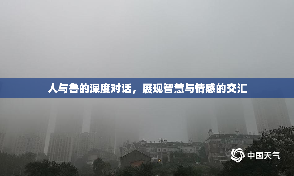 人与鲁的深度对话，展现智慧与情感的交汇