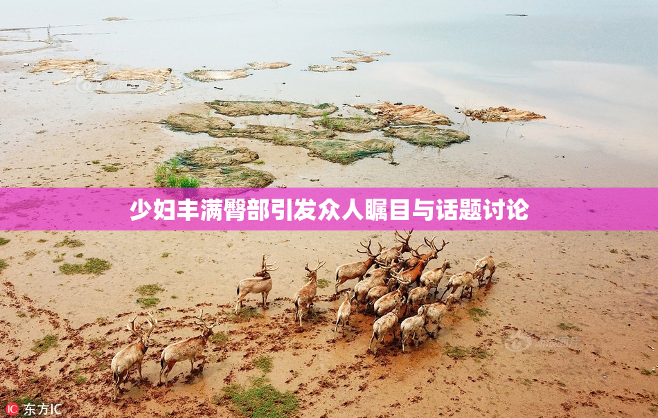 少妇丰满臀部引发众人瞩目与话题讨论
