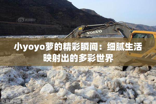 小yoyo萝的精彩瞬间：细腻生活映射出的多彩世界