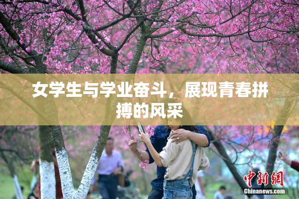 女学生与学业奋斗，展现青春拼搏的风采