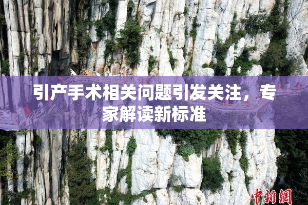 引产手术相关问题引发关注，专家解读新标准