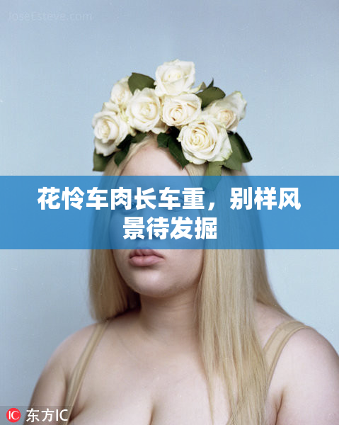花怜车肉长车重，别样风景待发掘