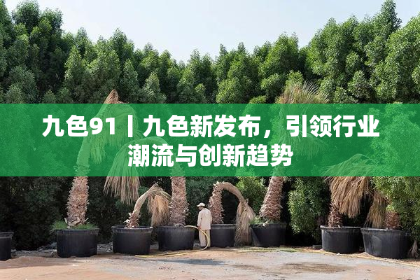 九色91丨九色新发布，引领行业潮流与创新趋势