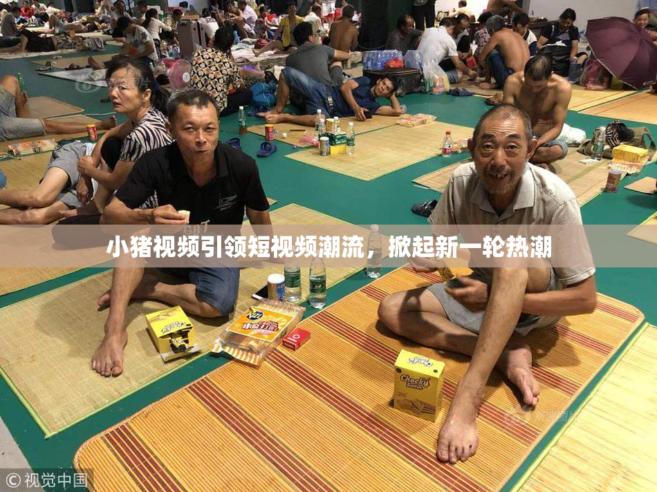 小猪视频引领短视频潮流，掀起新一轮热潮