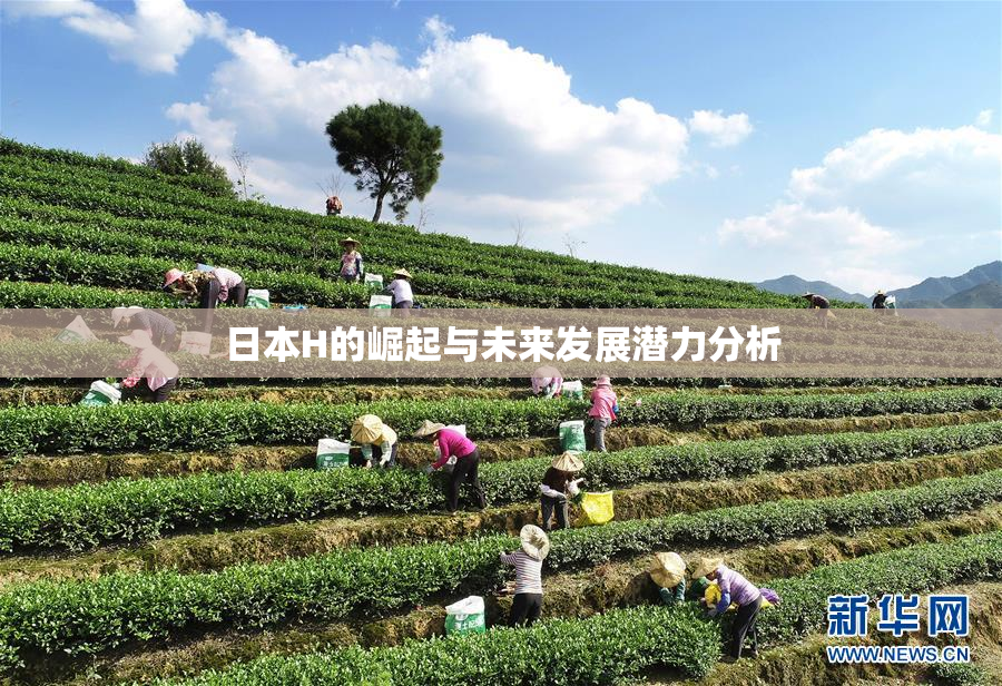 日本H的崛起与未来发展潜力分析