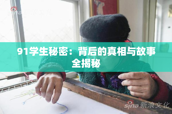 91学生秘密：背后的真相与故事全揭秘