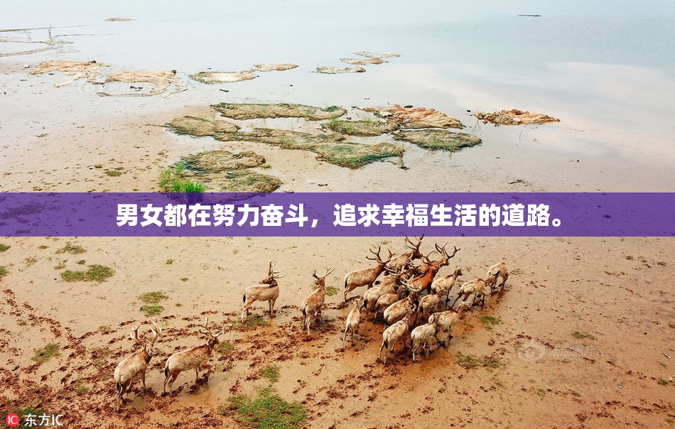 男女都在努力奋斗，追求幸福生活的道路。