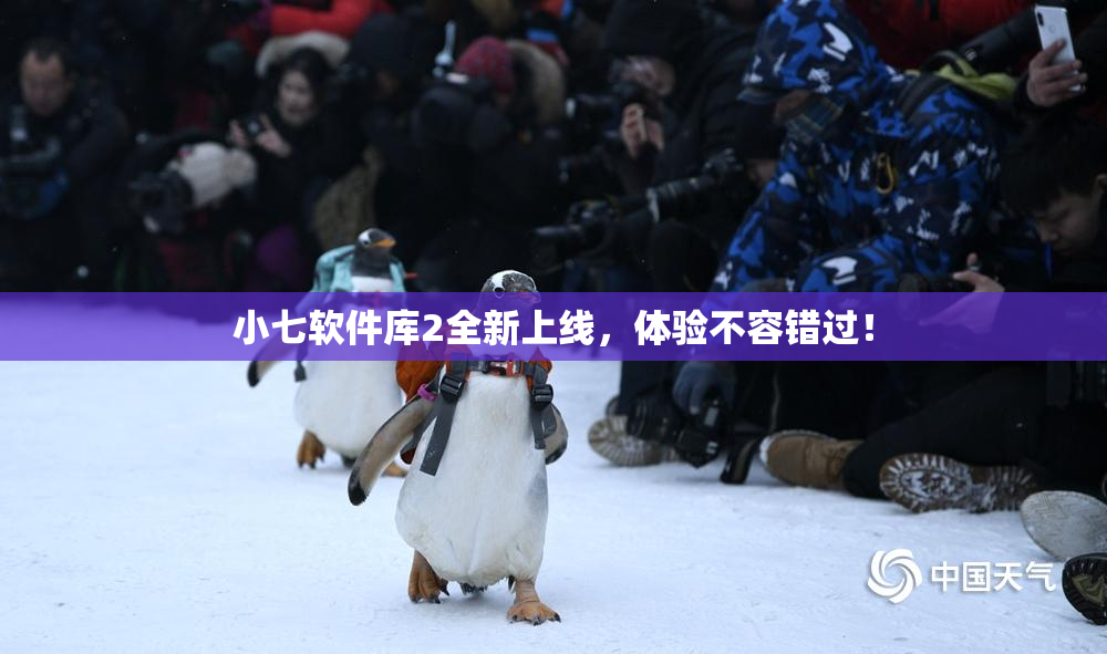 小七软件库2全新上线，体验不容错过！