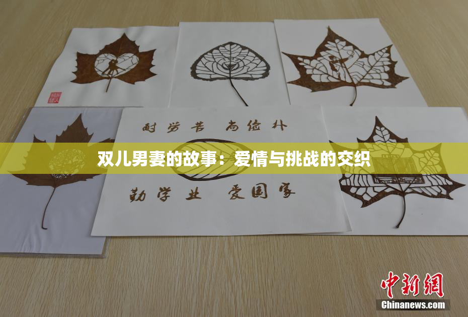 双儿男妻的故事：爱情与挑战的交织