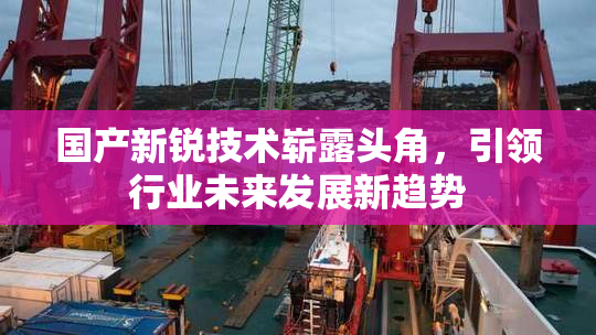 国产新锐技术崭露头角，引领行业未来发展新趋势