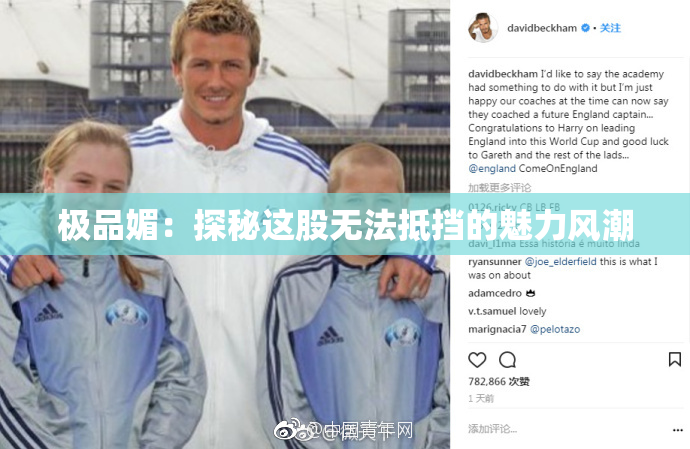 极品媚：探秘这股无法抵挡的魅力风潮