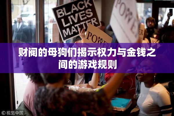 财阀的母狗们揭示权力与金钱之间的游戏规则