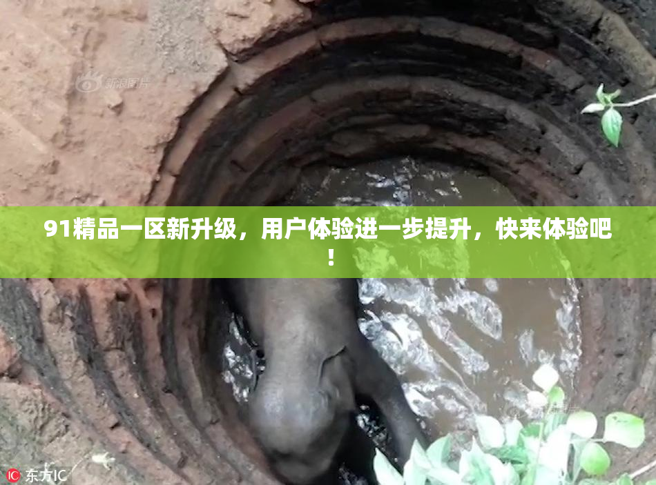91精品一区新升级，用户体验进一步提升，快来体验吧！