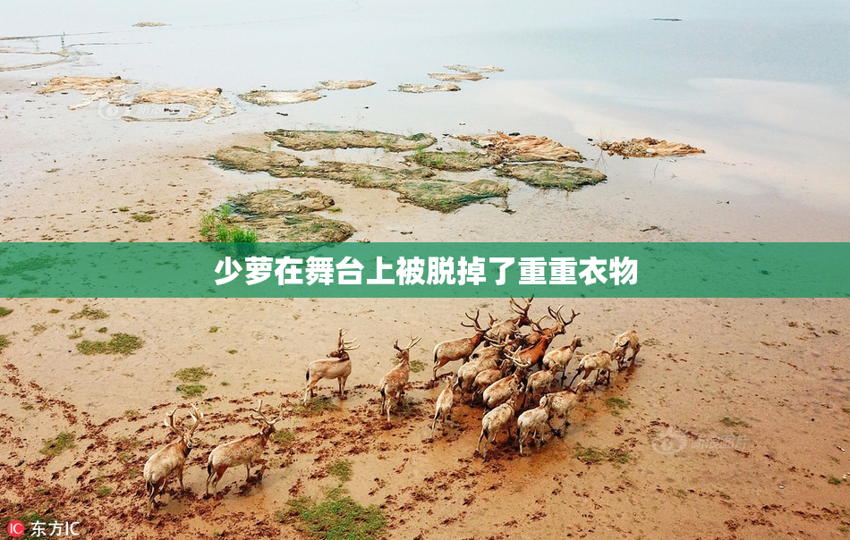 少萝在舞台上被脱掉了重重衣物