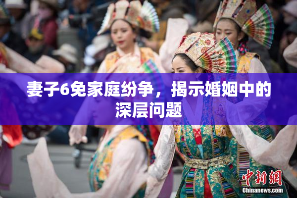 妻子6免家庭纷争，揭示婚姻中的深层问题