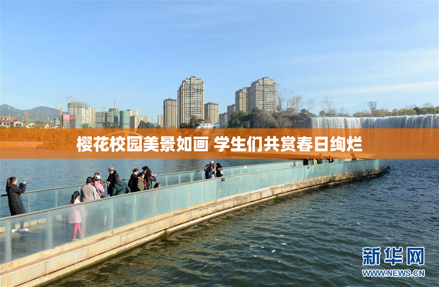 樱花校园美景如画 学生们共赏春日绚烂