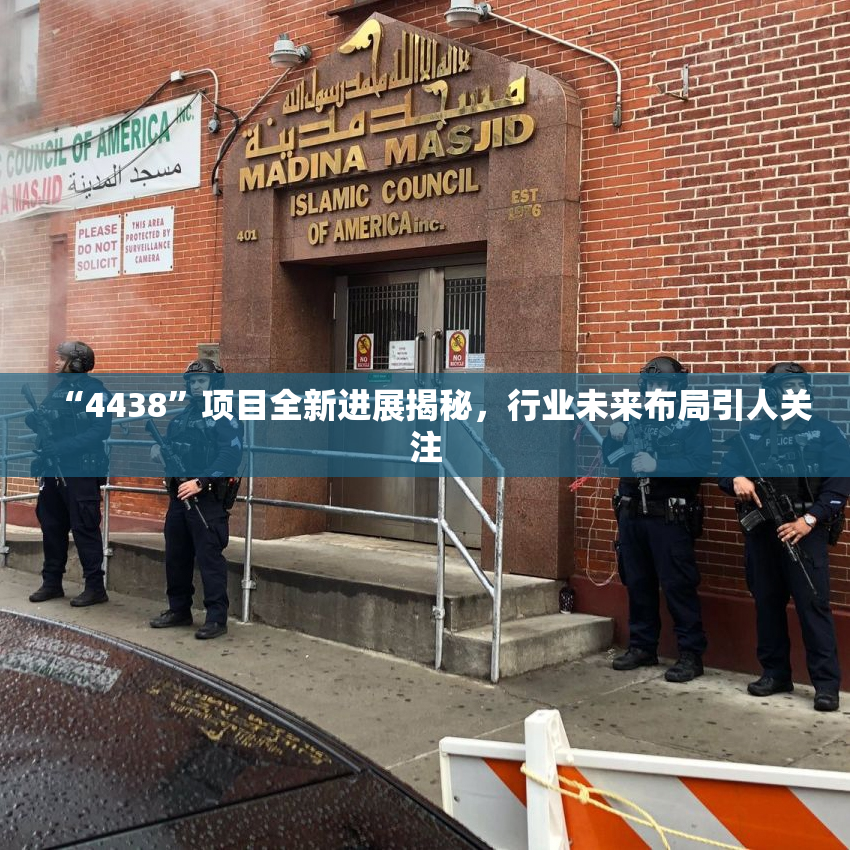 “4438”项目全新进展揭秘，行业未来布局引人关注