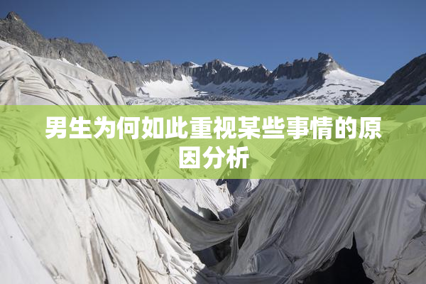男生为何如此重视某些事情的原因分析