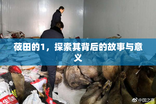 莜田的1，探索其背后的故事与意义