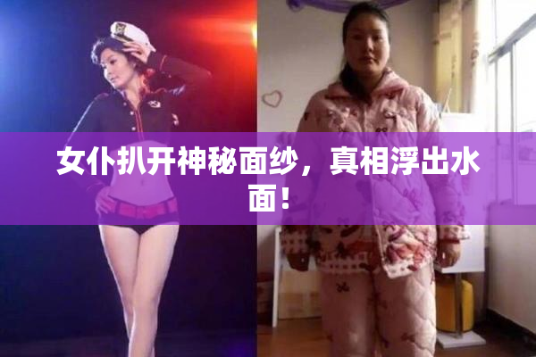 女仆扒开神秘面纱，真相浮出水面！