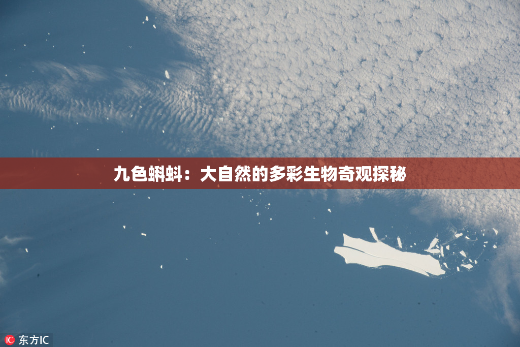 九色蝌蚪：大自然的多彩生物奇观探秘