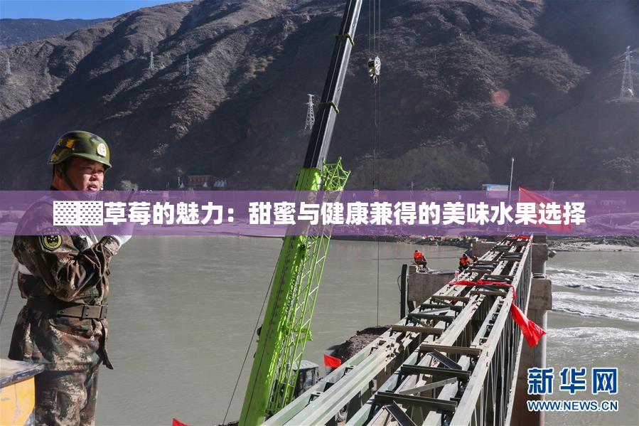▓▓草莓的魅力：甜蜜与健康兼得的美味水果选择
