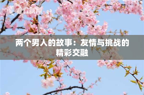 两个男人的故事：友情与挑战的精彩交融