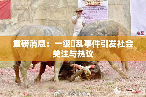 重磅消息：一级婬乱事件引发社会关注与热议