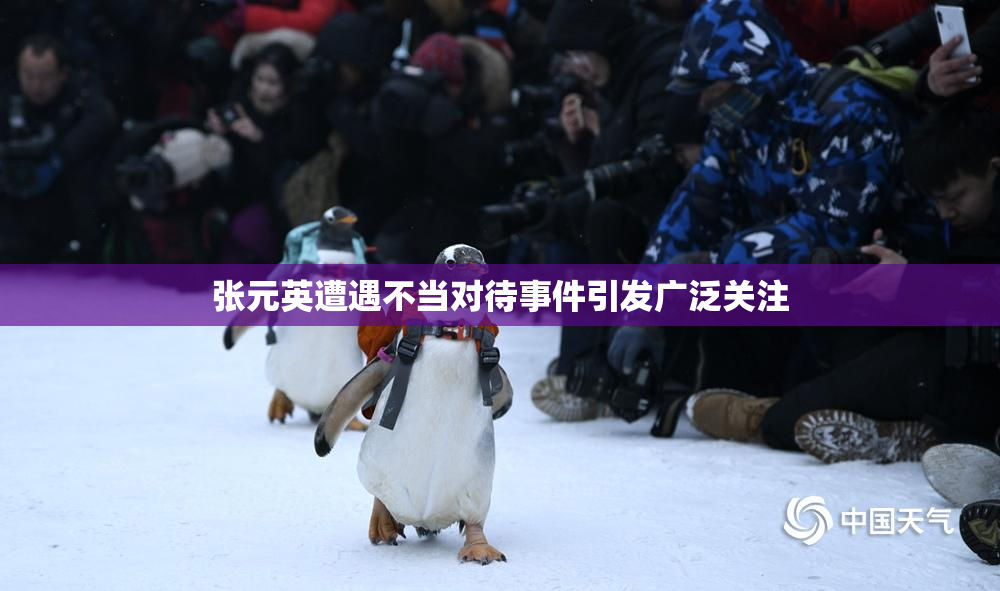 张元英遭遇不当对待事件引发广泛关注