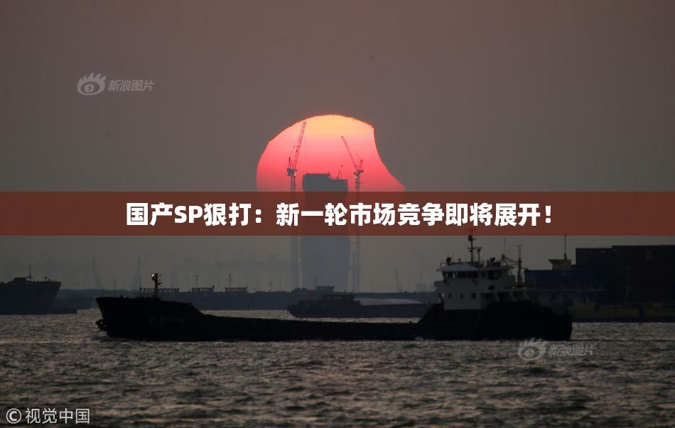 国产SP狠打：新一轮市场竞争即将展开！