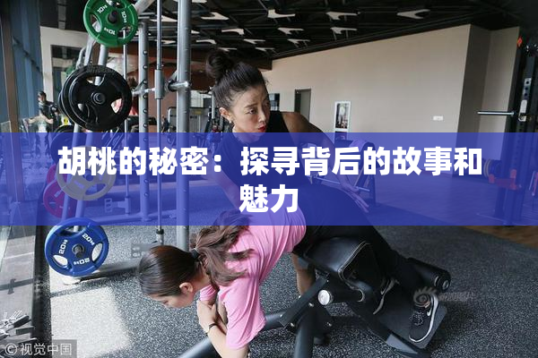 胡桃的秘密：探寻背后的故事和魅力