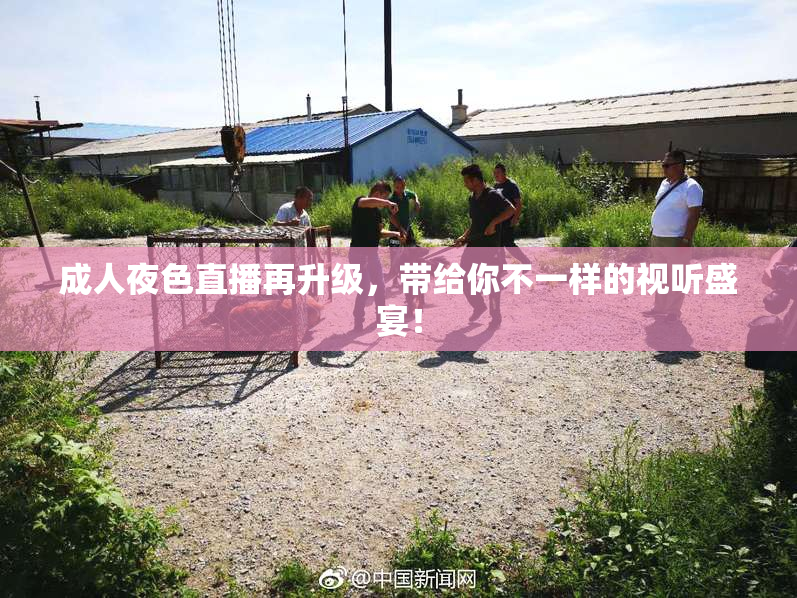 成人夜色直播再升级，带给你不一样的视听盛宴！
