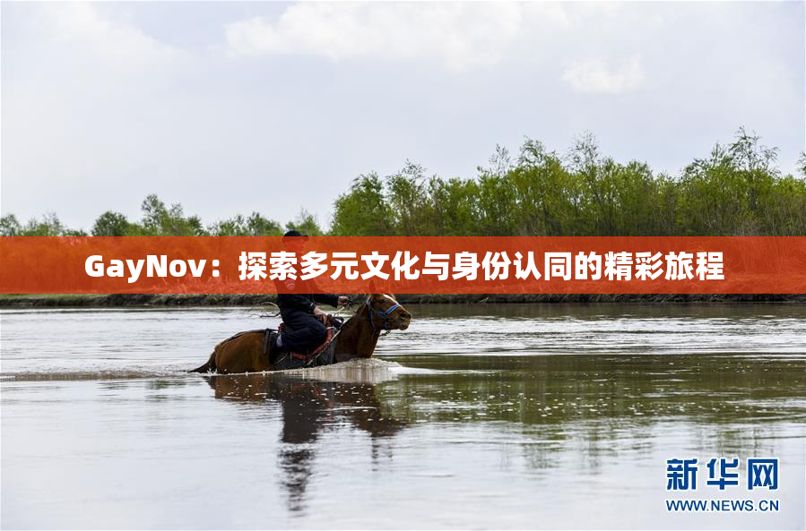 GayNov：探索多元文化与身份认同的精彩旅程