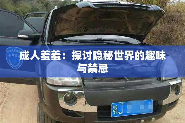 成人羞羞：探讨隐秘世界的趣味与禁忌