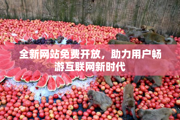 全新网站免费开放，助力用户畅游互联网新时代