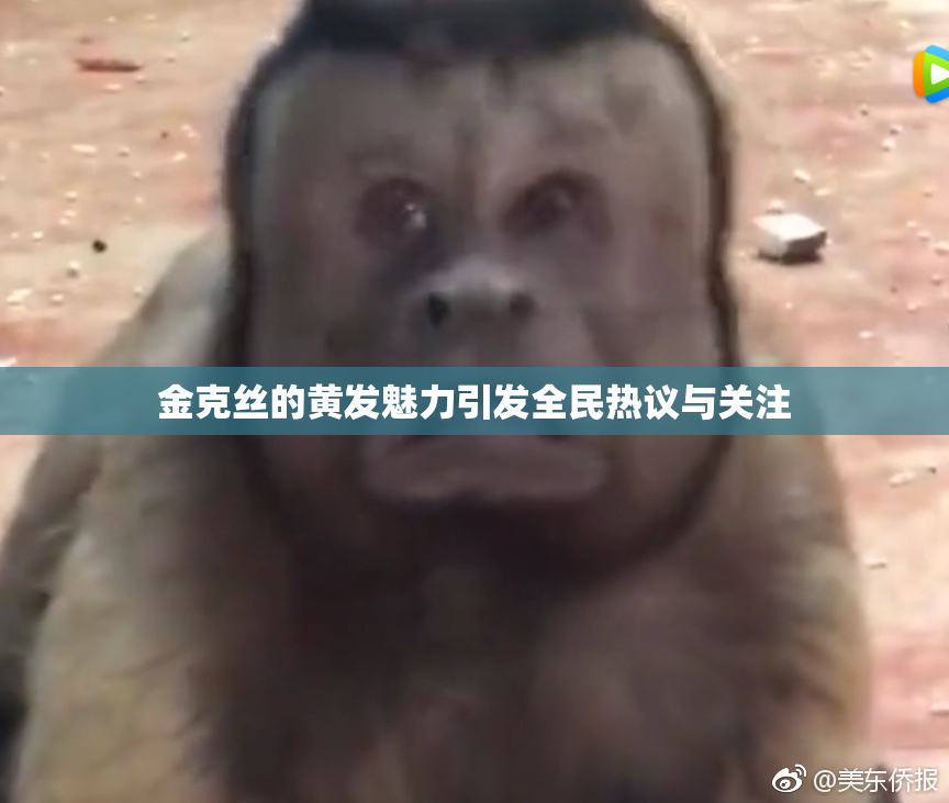 金克丝的黄发魅力引发全民热议与关注